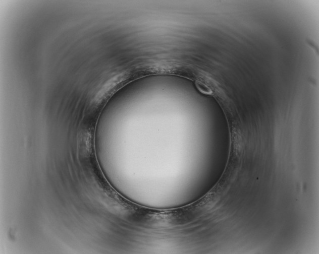 X0000102290071200808011522