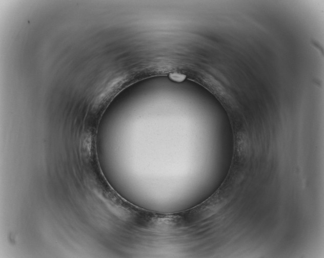 X0000102290072200808011522