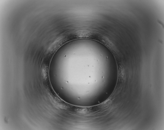 X0000102290074200808011522