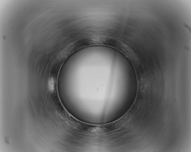 X0000102290075200808011522