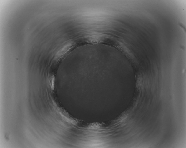 X0000102290076200808011522