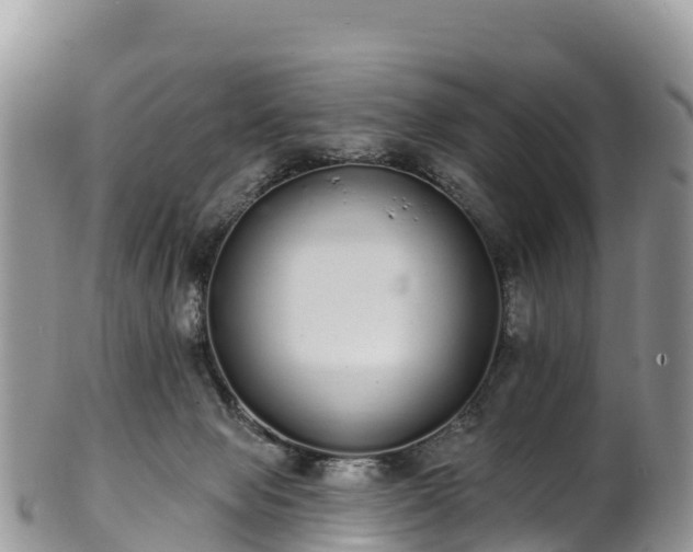 X0000102290077200808011522