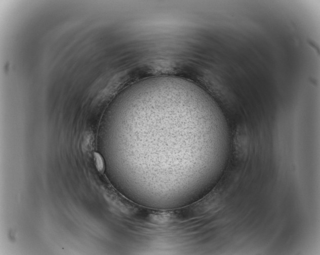 X0000102290079200808011522