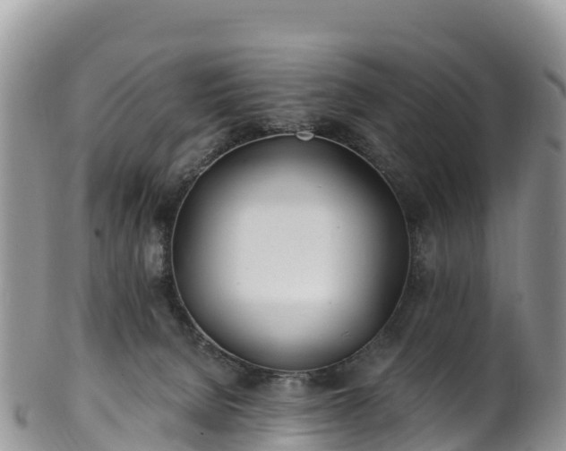 X0000102290080200808011522