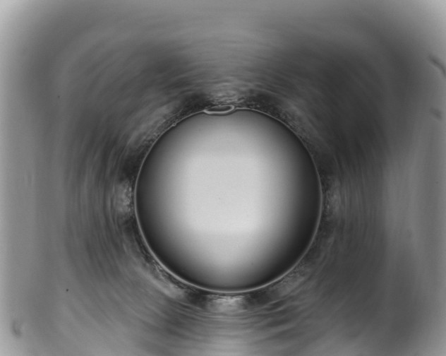 X0000102290081200808011522