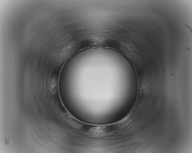 X0000102290082200808011522