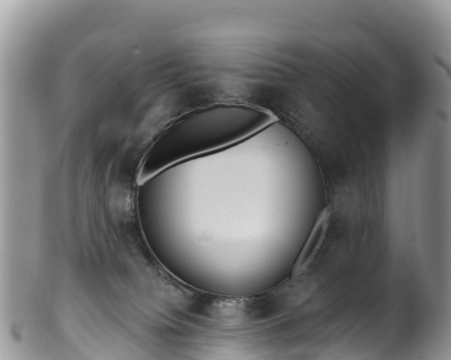 X0000102290084200808011522