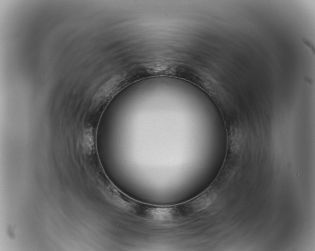 X0000102290085200808011522