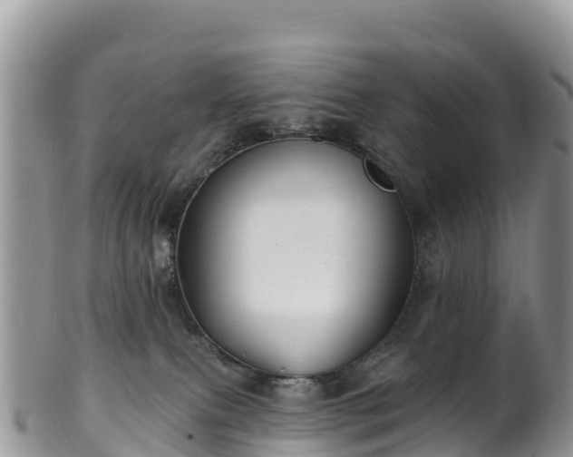 X0000102290087200808011522