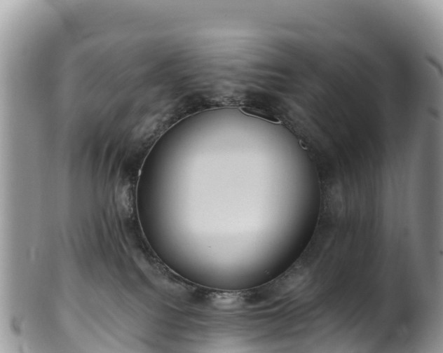 X0000102290088200808011522