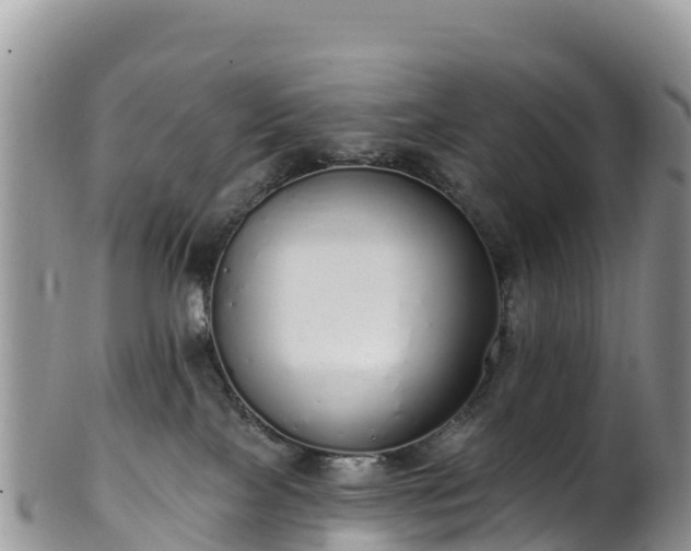 X0000102290089200808011522