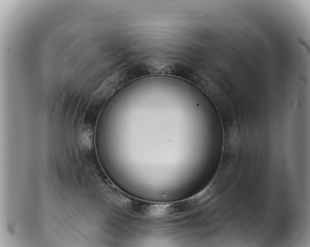 X0000102290090200808011522