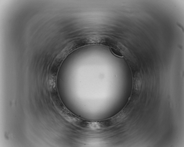 X0000102290091200808011522