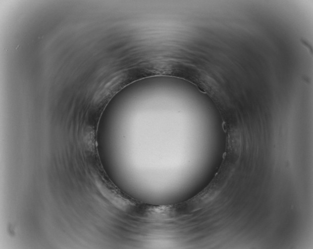 X0000102290092200808011522