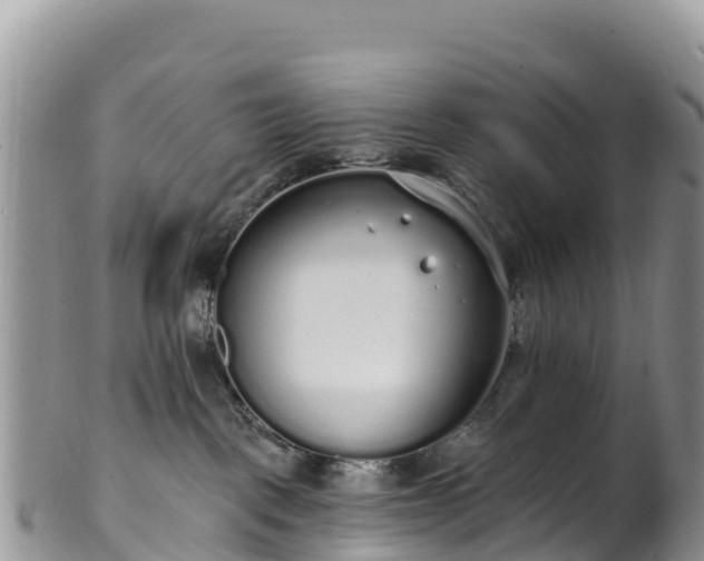 X0000102290093200808011522