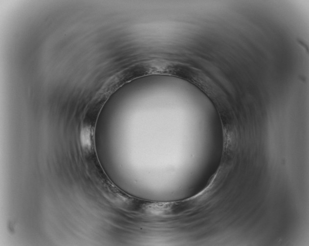 X0000102290094200808011522