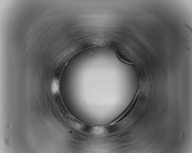 X0000102290095200808011522