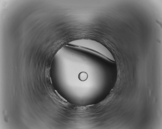 X0000102290096200808011522