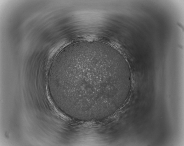 X0000102290097200808011522