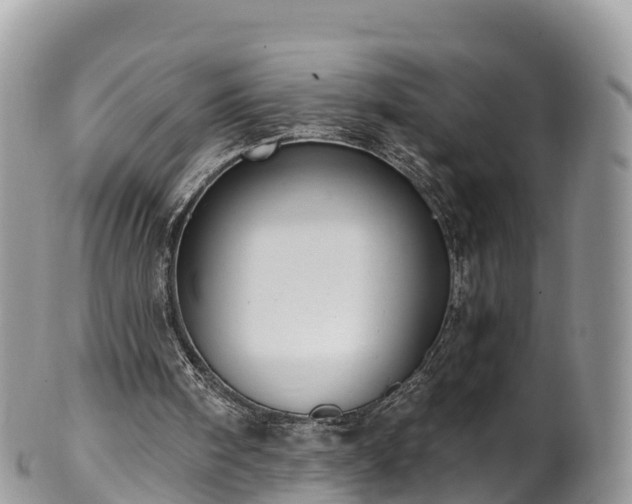 X0000102290098200808011522