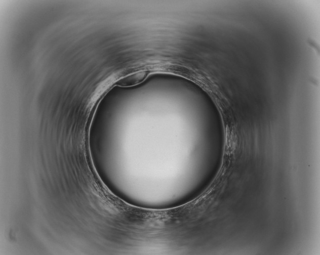 X0000102290099200808011522