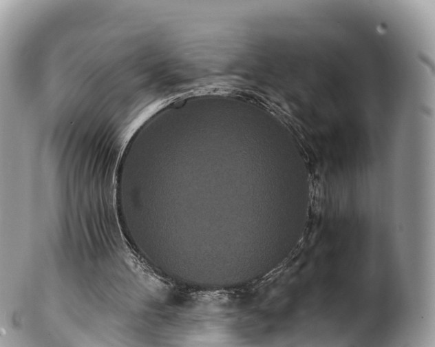 X0000102290100200808011522