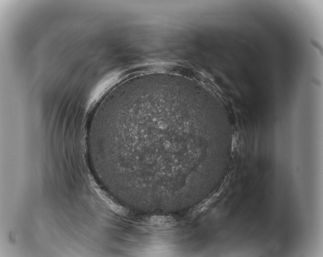 X0000102290101200808011522