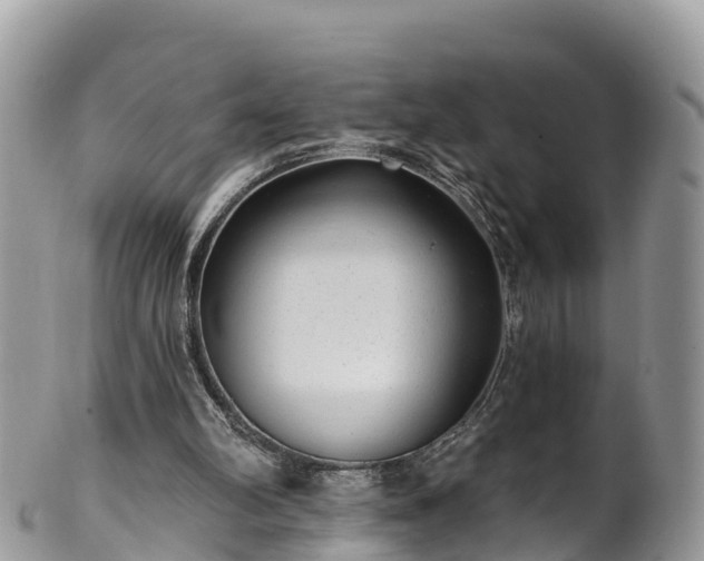 X0000102290102200808011522