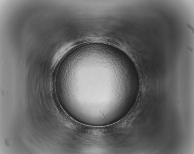 X0000102290103200808011522