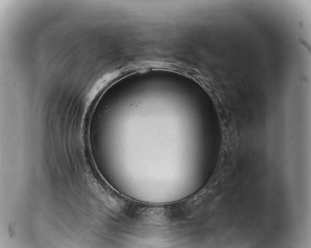 X0000102290104200808011522