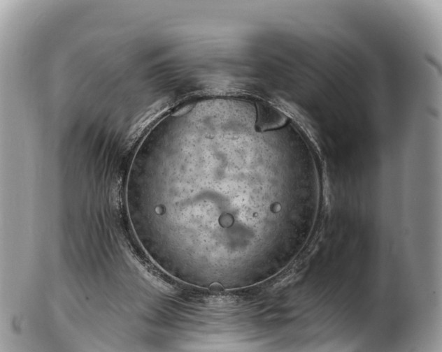 X0000102290105200808011522