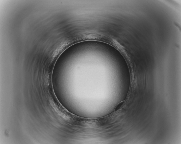 X0000102290106200808011522