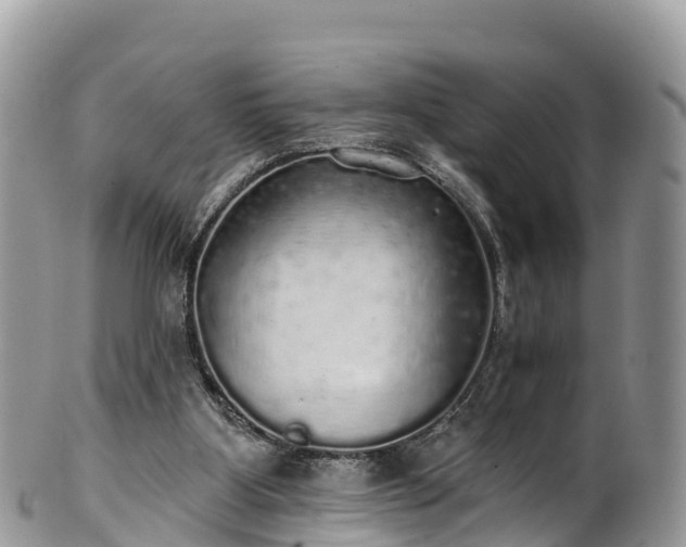 X0000102290107200808011522