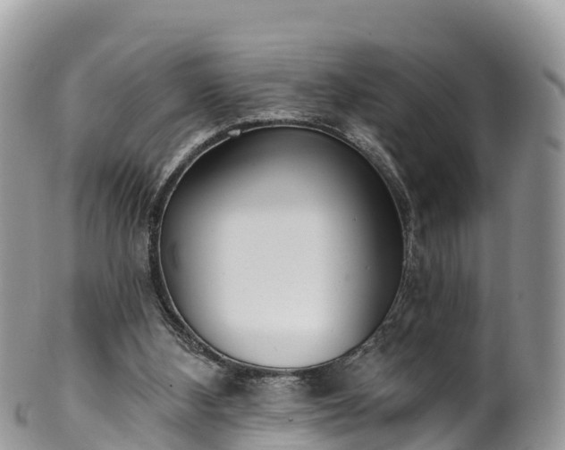 X0000102290108200808011522