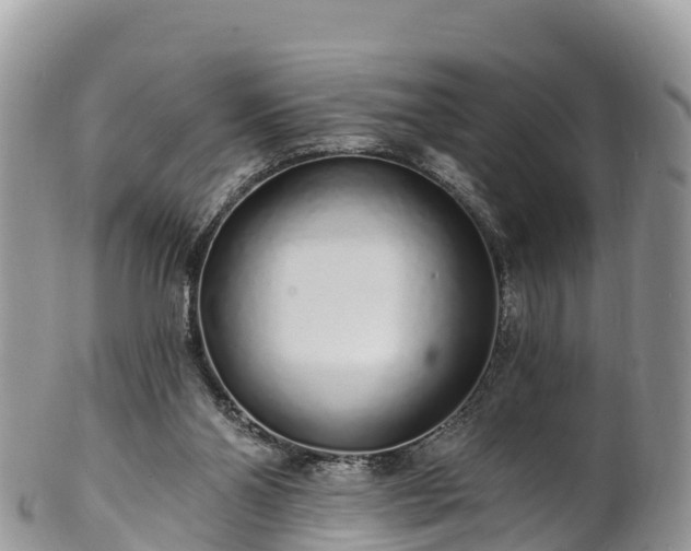 X0000102290110200808011522