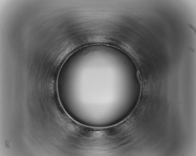 X0000102290111200808011521