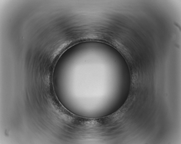 X0000102290112200808011521