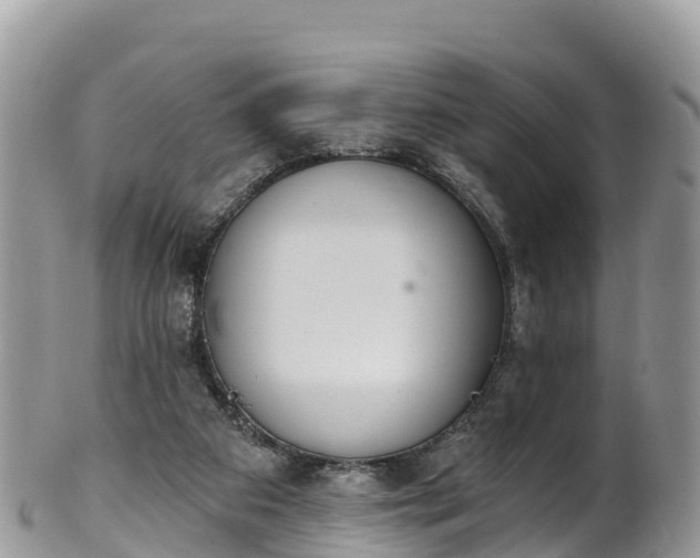 X0000102290113200808011521