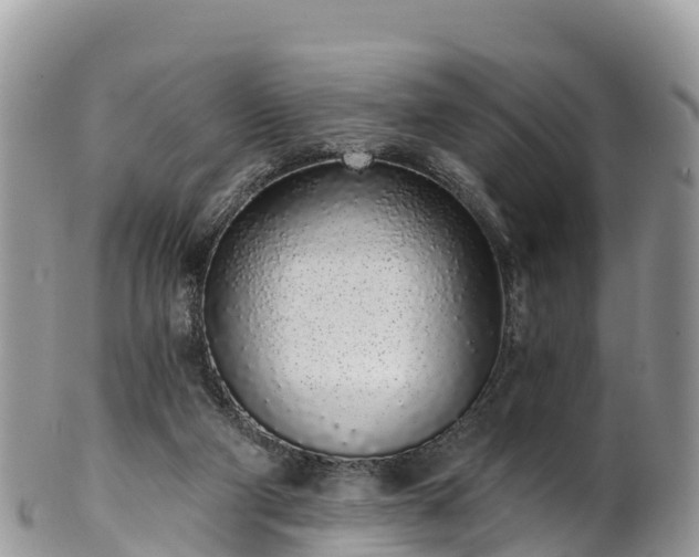 X0000102290114200808011521