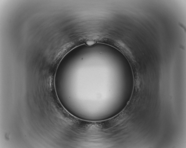 X0000102290115200808011521