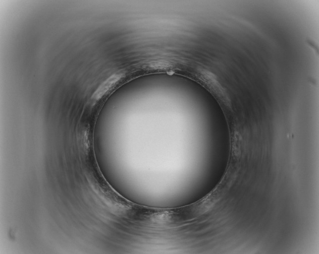 X0000102290116200808011521