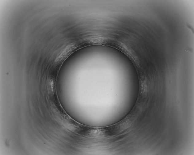 X0000102290117200808011521