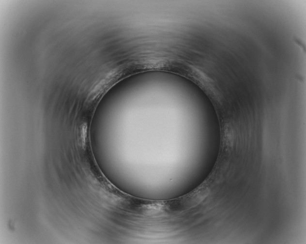 X0000102290118200808011521