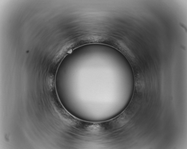 X0000102290119200808011521