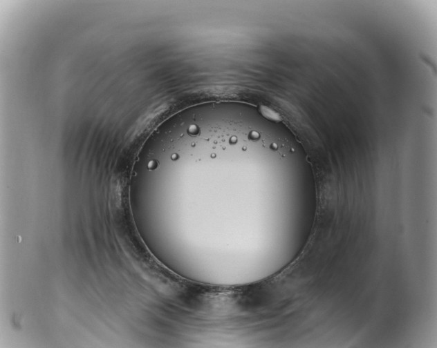 X0000102290120200808011521