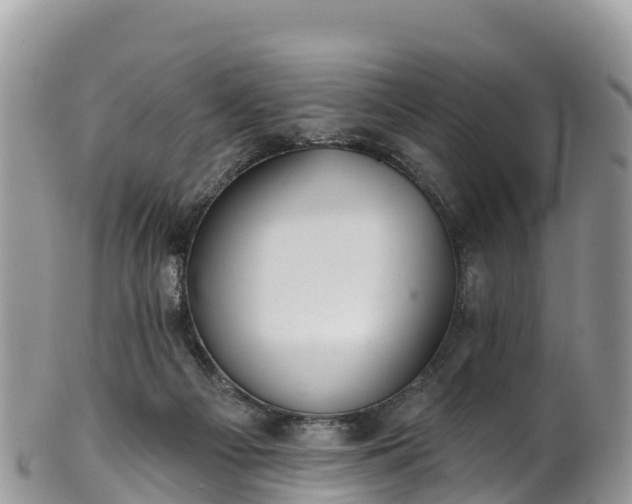 X0000102290121200808011521