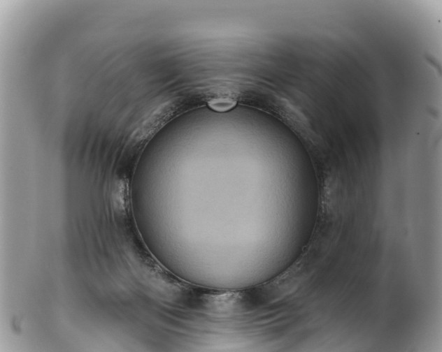 X0000102290122200808011521