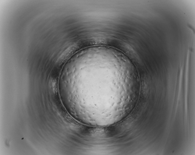 X0000102290123200808011521