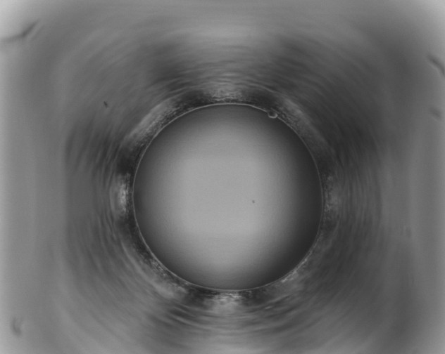 X0000102290124200808011521