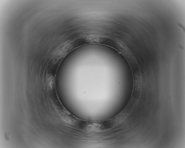 X0000102290125200808011521